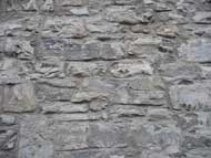 wall